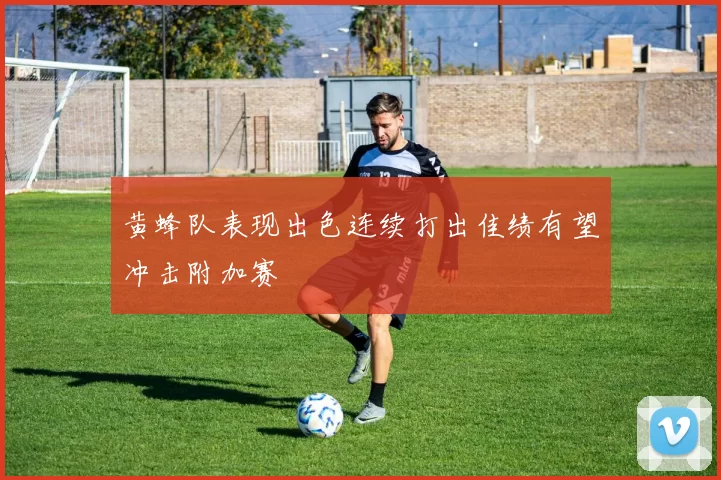 黄蜂队表现出色连续打出佳绩有望冲击附加赛